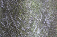 Rhiwbina fibreglass roof work